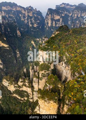 Vue aérienne des colossaux piliers de grès s'élèvent majestueusement, enveloppés de brume et de verdure luxuriante, leurs sommets perçant le ciel dans Zhangjiajie National Banque D'Images