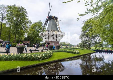 Keukenhof, pays-Bas - 06 mai 2019 : vue sur le moulin à vent emblématique reflété dans le paisible canal, entouré de parterres de fleurs vibrants et d'une végétation luxuriante, Banque D'Images