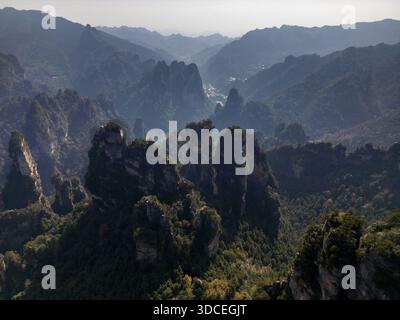 Vue aérienne de majestueux piliers de grès perçant le ciel, enveloppés de brume et de verdure luxuriante, un paysage de rêve de l'art de la nature, Zhangjiajie Nationa Banque D'Images