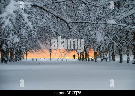 Vue d'un chemin enneigé flanqué d'arbres, d'une figure solitaire silhouettée contre un coucher de soleil ardent, d'une scène hivernale sereine, Parnu, Estonie. Banque D'Images