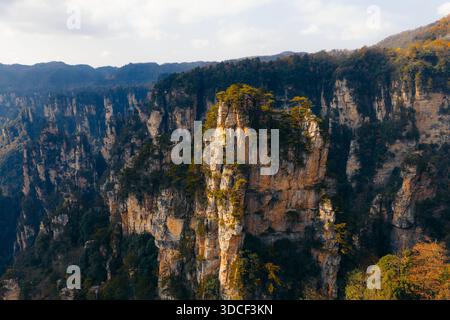 Vue aérienne d'imposants piliers de grès perçant le ciel, embrassés par une végétation luxuriante dans une symphonie de textures et de tons, forêt nationale de Zhangjiajie Banque D'Images