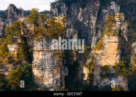 Vue aérienne d'imposants piliers de grès ornés d'arbres verdoyants perçant le ciel, d'une symphonie de tons terreux et de verdure luxuriante, Zhangjiajie Natio Banque D'Images