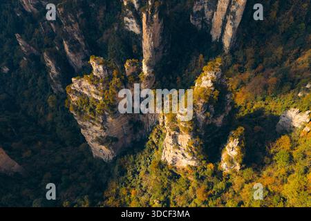 Vue aérienne des piliers de grès imposants traversant la dense canopée de la forêt, créant un paysage spectaculaire, parc forestier national de Zhangjiajie, Z Banque D'Images