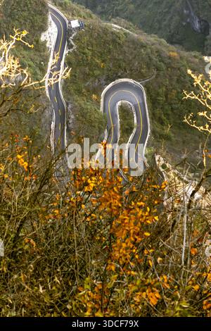 Vue d'une route sinueuse serpente à travers les montagnes, un ruban d'asphalte contrastant avec la verdure luxuriante et les couleurs d'automne, Zhangjiajie, Hunan, Chi Banque D'Images