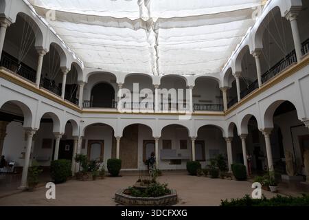 Cordoue, Espagne - 21 mai 23 : une cour spacieuse avec un plafond couvert, avec des arches et des plantes, créant une atmosphère sereine à partir du Córdoba AR Banque D'Images
