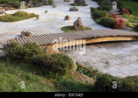 Passerelle en bois courbée voûte gracieusement au-dessus d'un jardin zen de galets blancs avec des motifs de ratissage en forme de vagues, des roches naturelles, des fleurs de tulipes roses et cli Banque D'Images