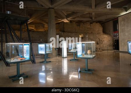 Un intérieur de musée moderne présentant des objets anciens dans des vitrines en verre, avec des murs en pierre en arrière-plan et un design minimaliste Banque D'Images