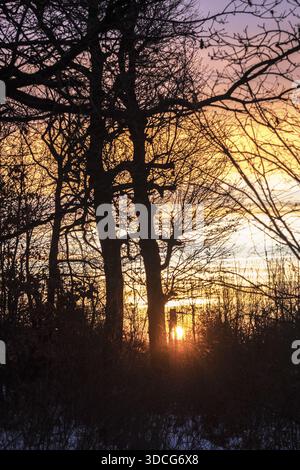 Vue du soleil plongeant sous l'horizon, projetant une lueur chaude à travers les silhouettes d'arbres, peignant le ciel avec des teintes orange et violet Banque D'Images