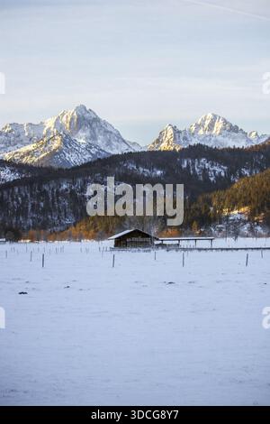Vue d'un champ couvert de neige menant à une grange solitaire nichée devant une forêt sombre et des montagnes majestueuses et enneigées, Bavière, Allemagne. Banque D'Images
