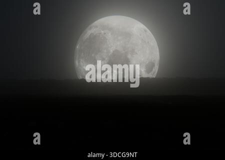 Énorme pleine lune sur une forêt et un champ dans la nuit sombre. Carte d'Halloween, espace libre pour la conception. Lune incroyable avec des cratères. Banque D'Images