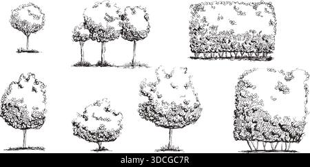 Croquis ensemble de gribouillage d'arbres forestiers et de haie de jardin, buissons. Silhouettes d'arbustes d'art botanique dessinées à la main. Illustrations de la nature en noir et blanc n Illustration de Vecteur