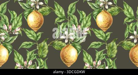 Motif sans couture florissant citron jaune fruit aquarelle dessinée à la main branche d'agrumes avec des feuilles et des fleurs fond d'olive foncé Banque D'Images