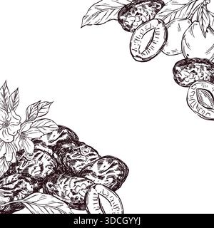 Cadre vectoriel de pruneaux, de prunes fraîches, de fleurs d'arbres fruitiers, tous dessinés à la main à l'encre et traduits en vecteur. L'illustration est parfaite pour l'impression Illustration de Vecteur