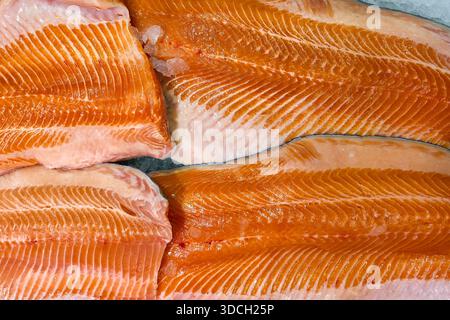 Vue rapprochée de filets de saumon frais crus déposés sur de la glace, mettant en évidence la riche couleur orange, la texture naturelle et les fruits de mer de qualité pour les marchés Banque D'Images