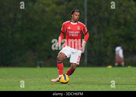 Seixal, Portugal. 22 décembre 2025. Lisbonne, 22/12/25 - Benfica B a accueilli Sporting B au campus de Benfica dans un match pour la 15e manche de Liga Portugal Meu Super 2025/26. Leandro Santos de SL Benfica crédit : Atlantico presse Lda/Alamy Live News Banque D'Images
