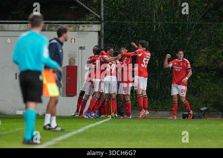 Seixal, Portugal. 22 décembre 2025. Lisbonne, 22/12/25 - Benfica B a accueilli Sporting B au campus de Benfica dans un match pour la 15e manche de Liga Portugal Meu Super 2025/26. SL Benfica B joueurs. Crédit : Atlantico presse Lda/Alamy Live News Banque D'Images