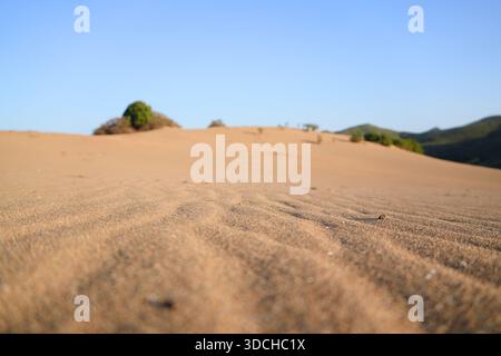 Vent créant des ondulations sur les dunes de sable sous un ciel bleu clair sur l'île de limnos Banque D'Images