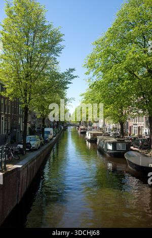 Magnifique vue sur Amsterdam avec un long canal bordé d'arbres verdoyants et de bateaux traditionnels se reposant le long de l'eau. Tourisme Banque D'Images