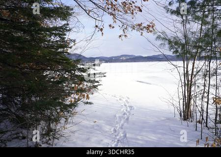 Une ligne d'empreintes profondes s'étend sur un large lac gelé enneigé vers des collines lointaines dans la région des Laurentides au Québec Banque D'Images
