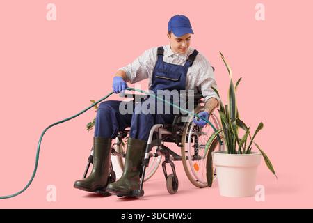 Jardinier masculin dans l'usine d'arrosage en fauteuil roulant sur fond rose. Concept d'égalité Banque D'Images