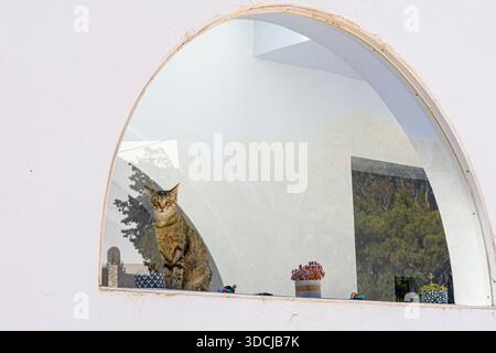 Voiture regardant à travers une fenêtre de verre sur l'île de Paros, Cyclades, Grèce Banque D'Images