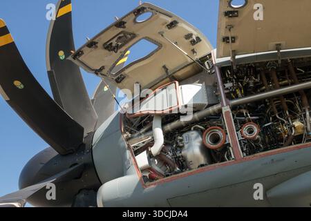 Gros plan du turbopropulseur Europrop TP400-D6 et de son hélice sur un avion de transport militaire Airbus A400M Atlas avec le capot moteur ouvert Banque D'Images