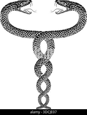 Serpents deux Helix Vintage illustration entrelacée Illustration de Vecteur