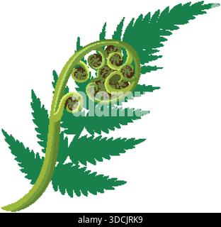Fougère argentée verte stylisée avec spirale koru, style vectoriel plat, lignes épurées, fond blanc Illustration de Vecteur