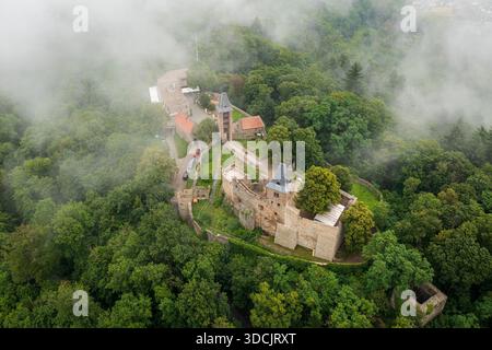 Vue aérienne des ruines du château de Burg Frankenstein niché dans une forêt dense avec du brouillard roulant dans, Mühltal, Hesse, Allemagne. Banque D'Images