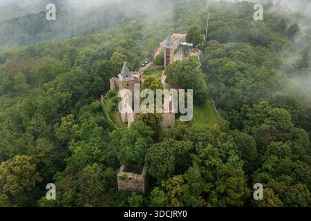 Vue aérienne des ruines du château de Burg Frankenstein au milieu d'une forêt dense, ses anciens murs de pierre contrastant avec la canopée verte vibrante, Mühltal, Hesse Banque D'Images