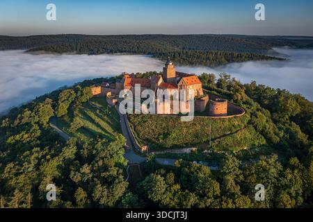 Vue aérienne du château de Burg Breuberg au sommet d'une colline, avec brume curling autour de la forêt lointaine, une forteresse médiévale baignée de lumière douce, Breuberg, Hess Banque D'Images