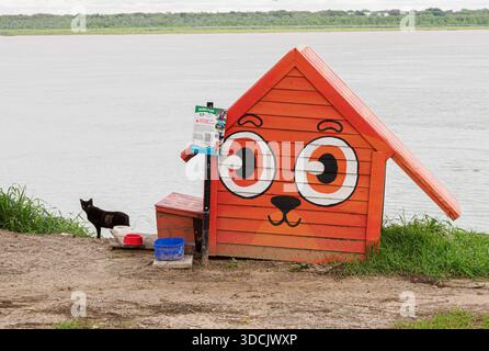 Chat utilisant l'élégant abri pour animaux sur la rivière Parana costanera à Corrientes nord de l'Argentine mis en place par une association caritative d'amoureux des animaux locaux Banque D'Images
