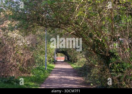 Sentier parallèle à Prittle Brook Greenway, Leigh-on-Sea, Essex, Angleterre, Royaume-Uni, un jour ensoleillé de printemps. (Une connexion sans trafic pour cy Banque D'Images