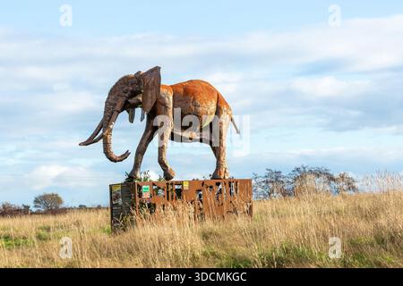Sculpture d'éléphant réalisée à partir de métal recyclé au British Iron Work Centre, Oswestry, Shropshire, Angleterre Banque D'Images