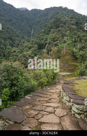 Une vue verticale et à angle élevé d'un chemin ascendant pavé de pierre menant à travers les ruines, devant d'anciennes terrasses circulaires et des cabanes en bois rustiques, surroun Banque D'Images