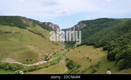 Voyage roumanie transilvania Cheile turzii observer les falaises de calcaire spectaculaires définissant le paysage naturel d'une vallée verdoyante Banque D'Images