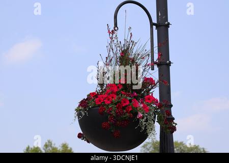 jardinière à bol en fer débordant de fleurs rouges suspendue à un lampadaire noir sous le ciel bleu d'été Banque D'Images