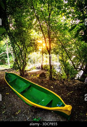 Un canot vert vibrant avec une bordure jaune reposant sur un chemin de terre entouré d'arbres luxuriants et de feuillage, avec la lumière du soleil filtrant à travers les feuilles Banque D'Images