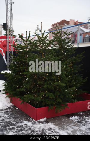 sapin de noël festif orné de lumières scintillantes dans une boîte rouge vibrante sur un cadre extérieur enneigé avec des structures de bâtiment et de métal en arrière-plan, ext Banque D'Images