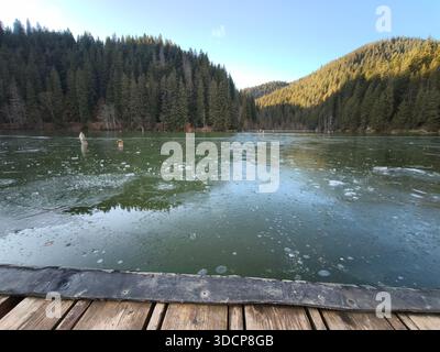 Red Lake Romania, lac de montagne gelé entouré d'une dense forêt de pins sous un ciel clair, vu d'une jetée en bois dans un paysage d'hiver paisible. Banque D'Images