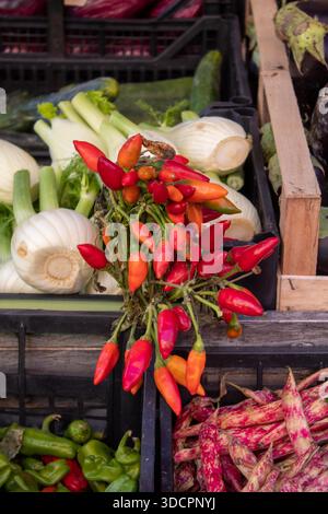 Des piments rouges frais suspendus à un étal de marché avec des bulbes de fenouil et des légumes en arrière-plan, mettant en valeur des couleurs vives et des produits locaux Banque D'Images