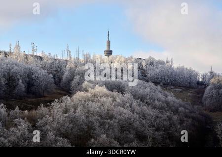 Raureif an den Bäumen auf dem Ravensberg am 24.12.2025 BEI Bad Sachsa im Südharz in Niedersachsen, Deutschland. Givre sur les arbres du Ravensberg le 24 décembre 2025 près de Bad Sachsa, basse-saxe, Allemagne Banque D'Images
