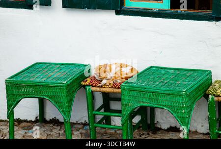 Un chat gingembre dort paisiblement sur un tabouret en osier, entouré de tables vertes, devant un mur blanc aux volets verts et une fenêtre colorée en Mo Banque D'Images