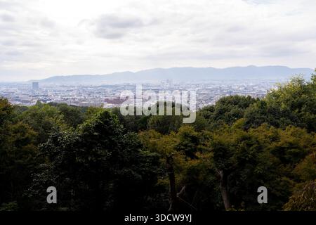 Une forêt verdoyante surplombe une ville tentaculaire nichée entre des collines ondulantes sous un ciel nuageux. Banque D'Images