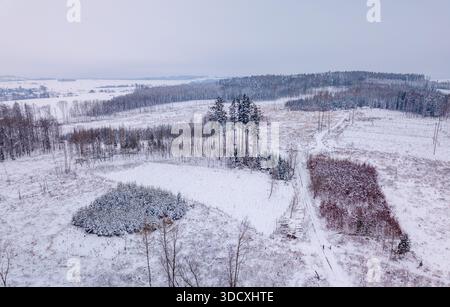 Photographie aérienne d'un paysage hivernal avec des champs enneigés et des forêts dans les Highlands, République tchèque. Offre une vue le long d'un chemin enneigé, wi Banque D'Images