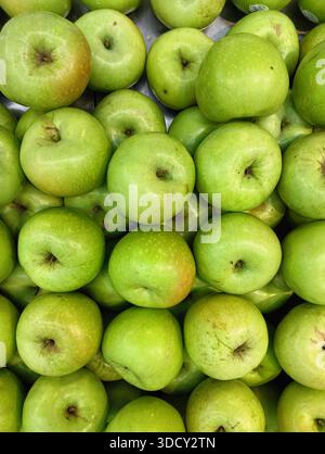 Vue en angle élevé de pommes vertes fraîches (Malus domestica) dans une pile, fond de fruits biologiques vibrants. Banque D'Images
