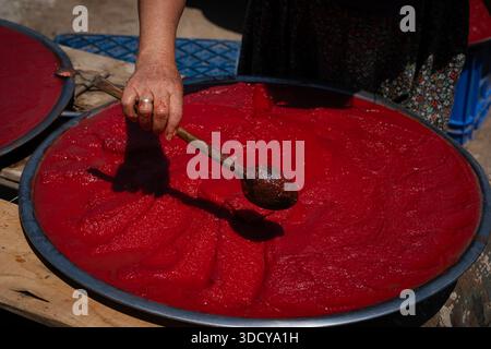 Femme préparant de la pâte de tomate fraîche maison, étalant de la purée de tomates rouges mûres dans de grands plateaux pour le séchage traditionnel au soleil en extérieur Banque D'Images