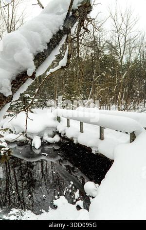 Neige poudreuse profonde sur un pont en bois au-dessus d'un ruisseau forestier pendant la tempête de neige hivernale, reflets forts dans l'eau sombre ouverte des rampes enneigées et des arbres. Banque D'Images