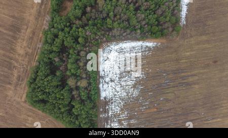La vue aérienne de haut en bas en Biélorussie montre une forêt mixte dense rencontrant un champ labouré avec de la neige irrégulière, des traces de tracteur, des motifs de fonte et des bords nets dans la Banque D'Images
