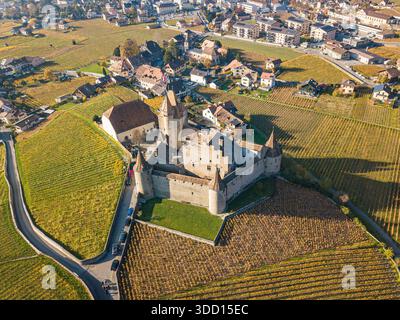 Vue aérienne du château d'Aigle entouré de vignes en automne, canton de Vaud, Suisse. Banque D'Images